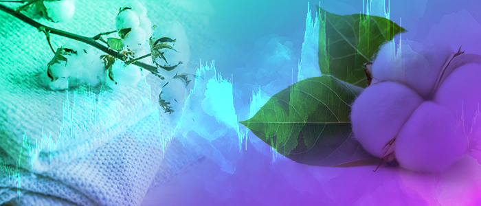 取引ガイド：ソフトコモディティ - コットン