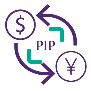 pip meaning in forex