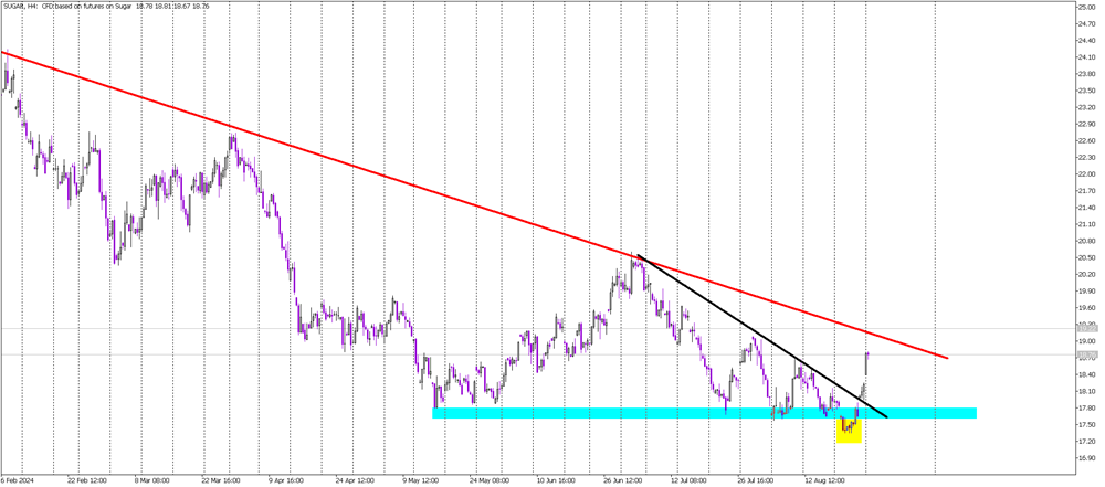 Sugar Surges Higher as False Breakout Sparks Buying Interest