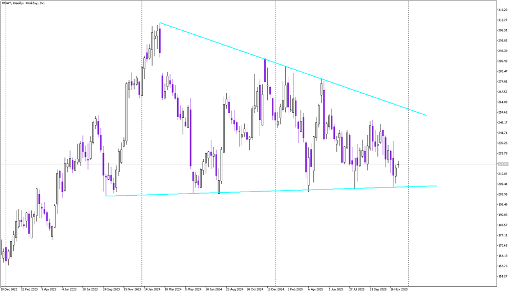 Stock of the day: Workday