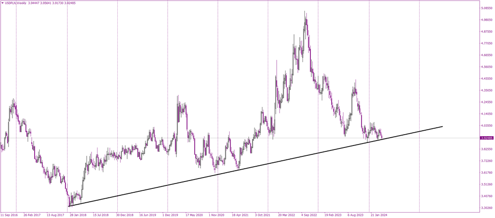 A Decisive Moment for the Dollar Against the Zloty: 2024’s Critical Test