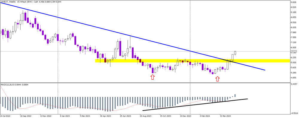 Wheat Prices Signal Bullish Reversal with Key Breakouts
