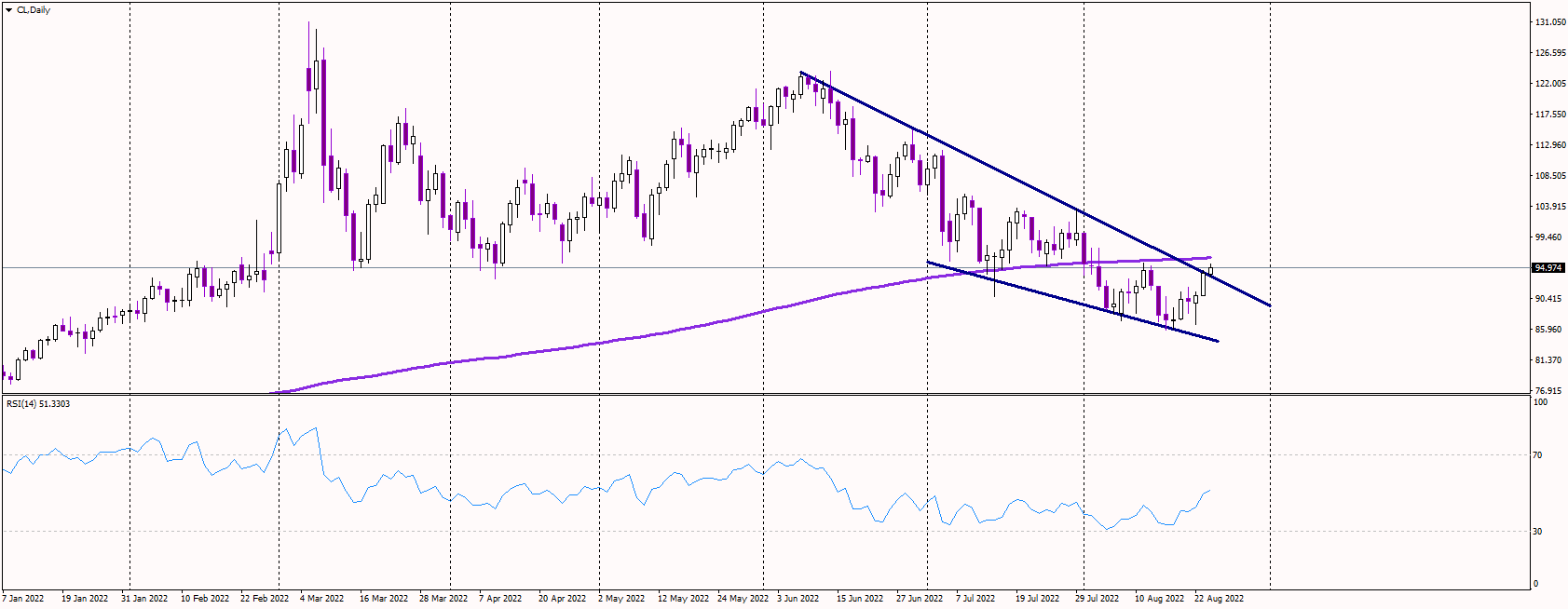 WTI Jumps to 95 USD