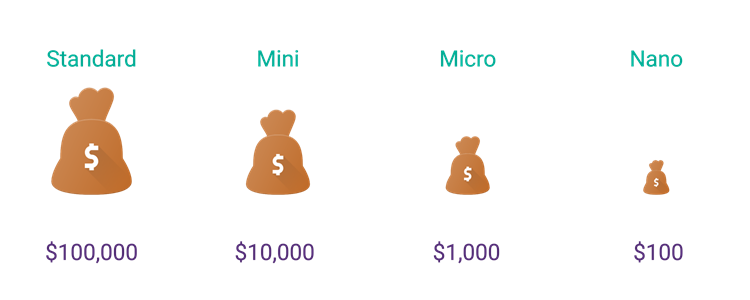 What is a Forex lot