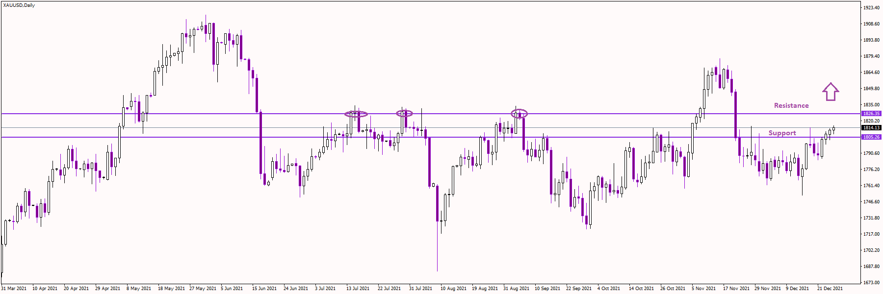 US Dollar Hints at Recovery
