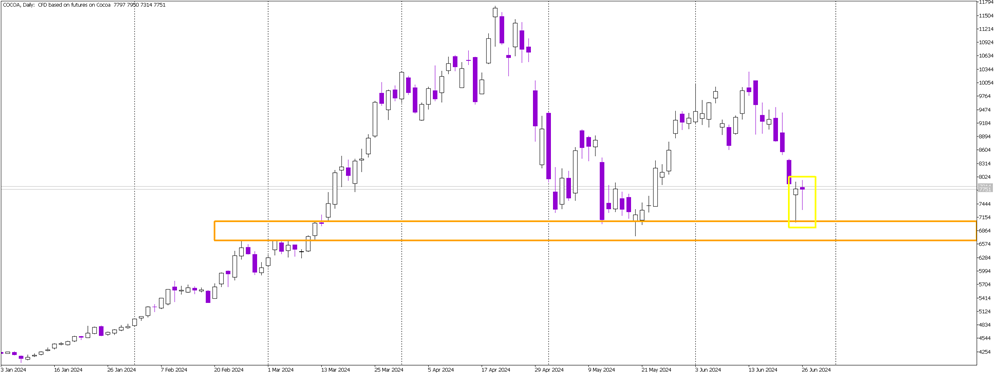 Double Hammer Formation on COCOA Daily Chart Signals Strong Buy