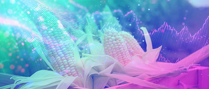 取引ガイド：ソフトコモディティ - コーン