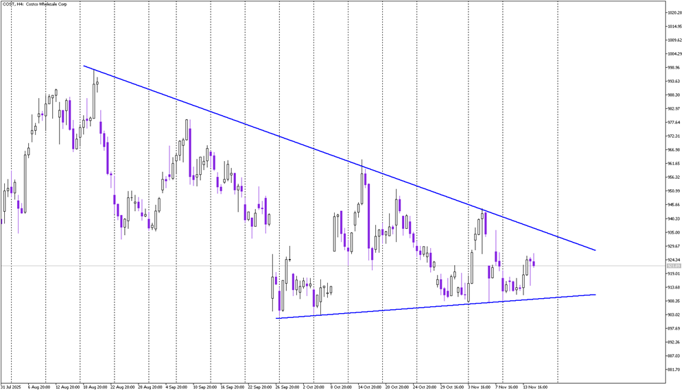Stock of the day: Costco